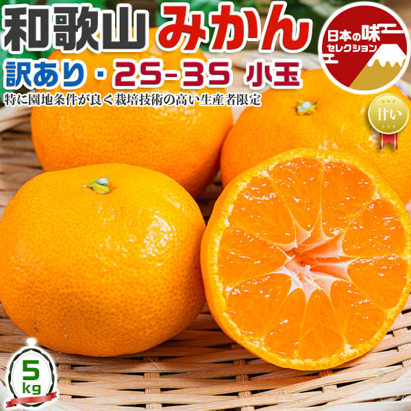 みかん1