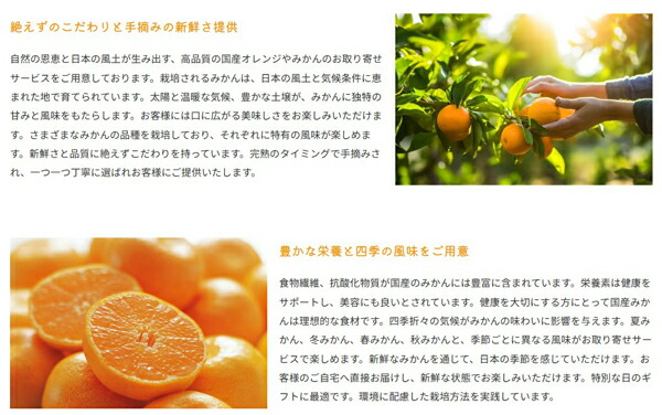 みかん4