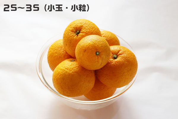 みかん4