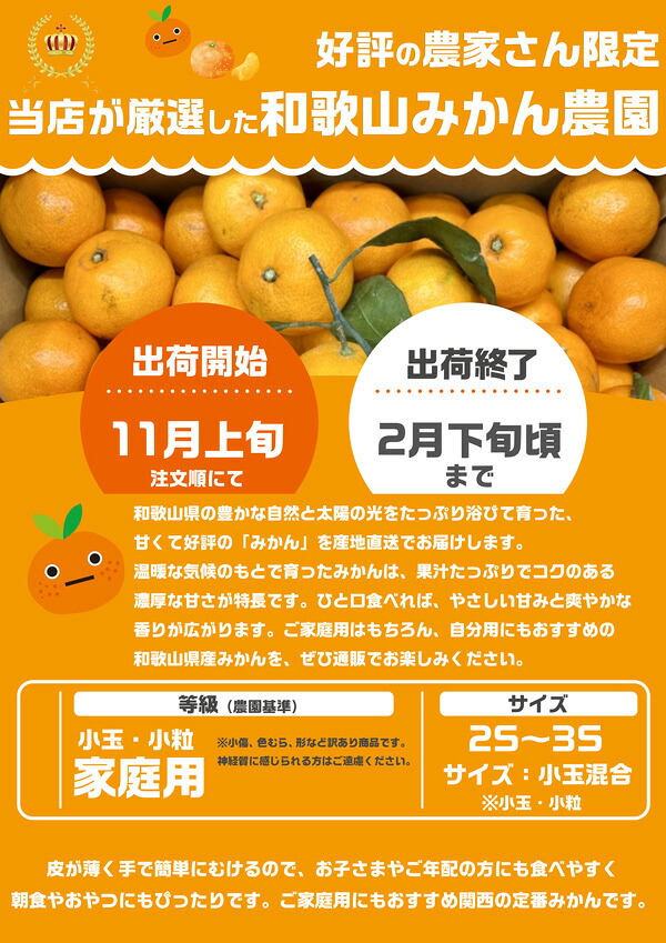 みかん3