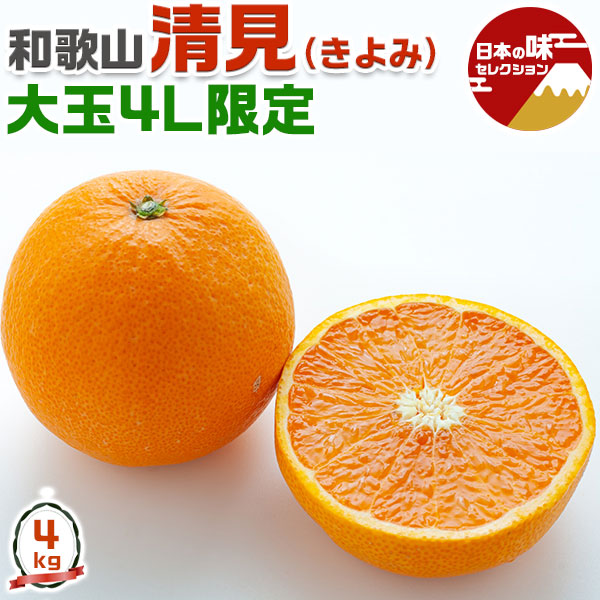 みかん1