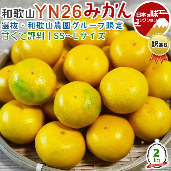みかん1