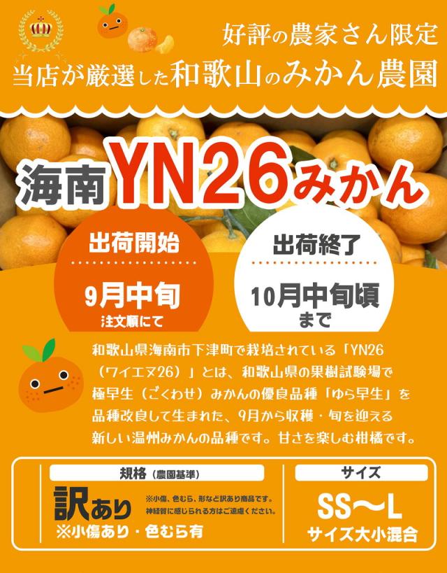 みかん3