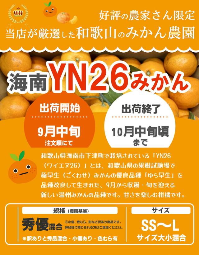みかん3