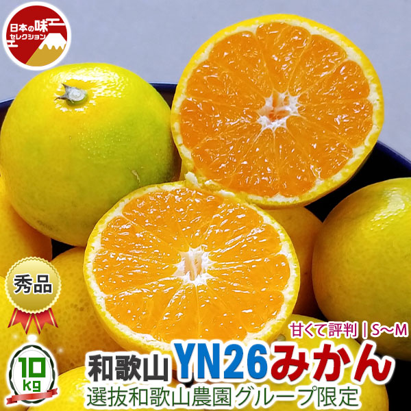 みかん1