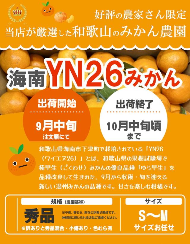 みかん3
