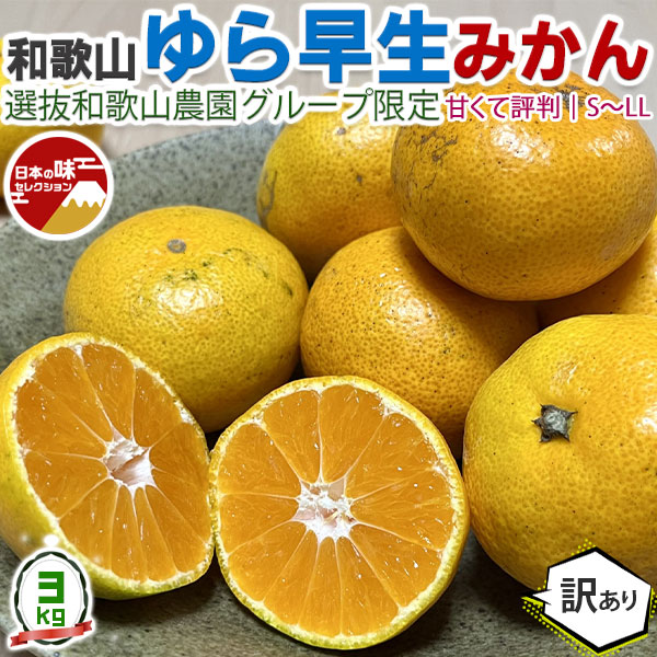 みかん1