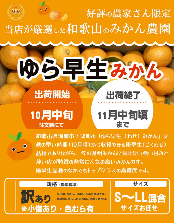 みかん3