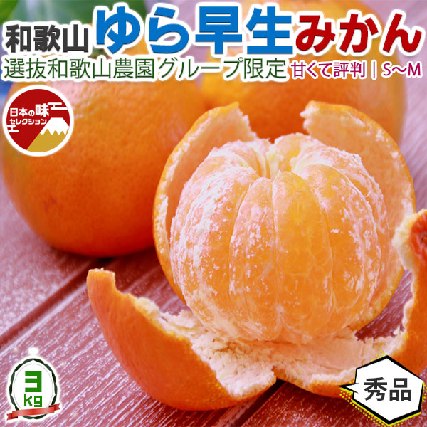 みかん1