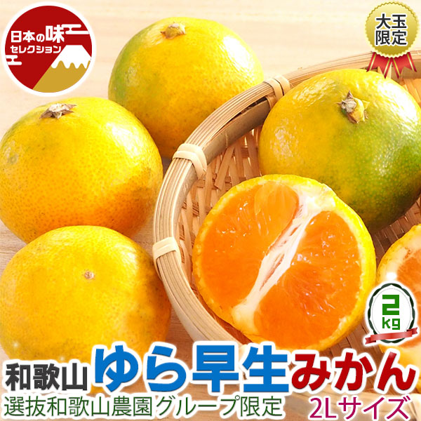 みかん1