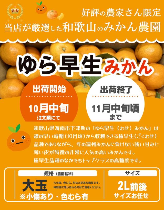 みかん3
