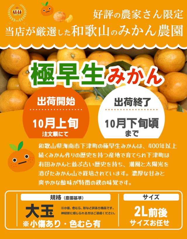 みかん3