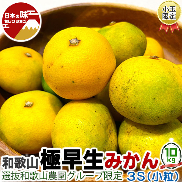 みかん1