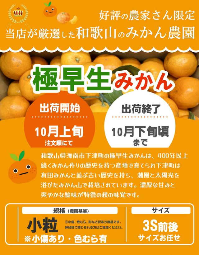 みかん3