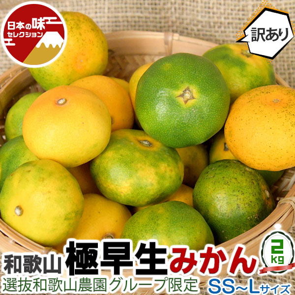 みかん1