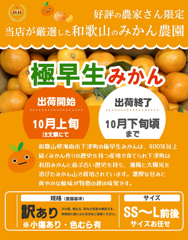 みかん3