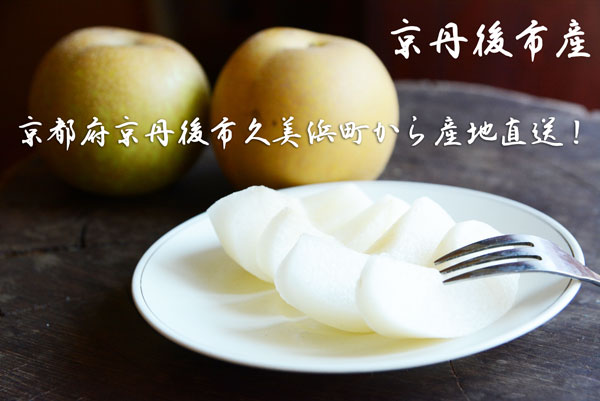 新高梨・贈答用・ジャンボ梨　熊本県産