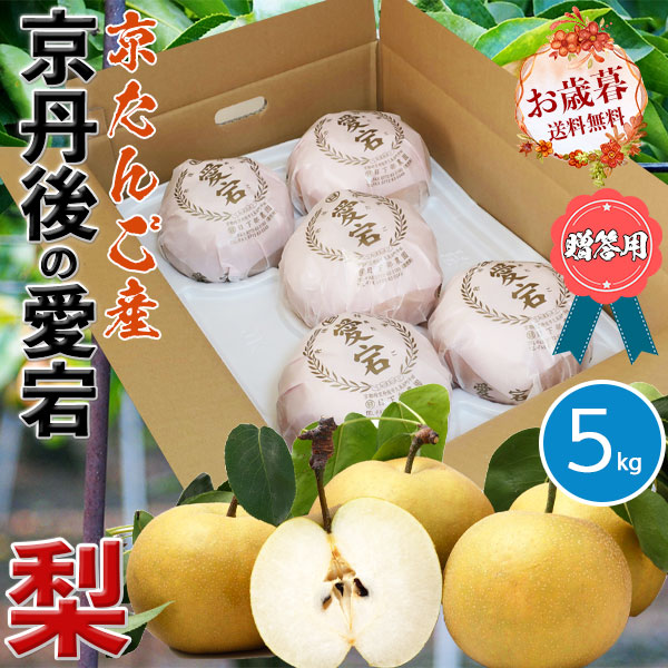 新高梨・贈答用・ジャンボ梨　熊本県産