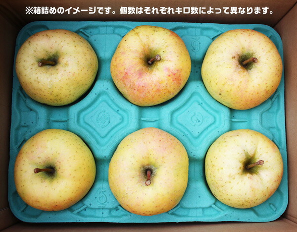 みかん3