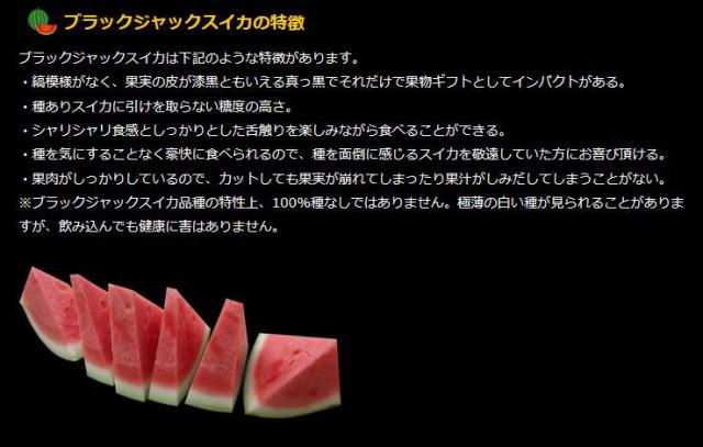 スイカ　ブラックジャック　種なし　甘い　熊本県産