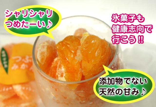 みかん加工ギフト