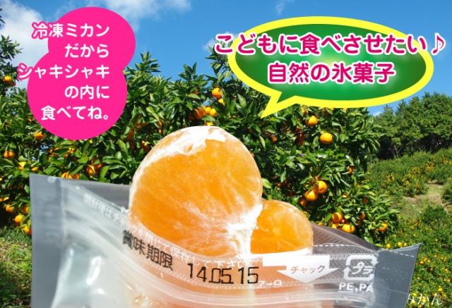 みかん加工ギフト