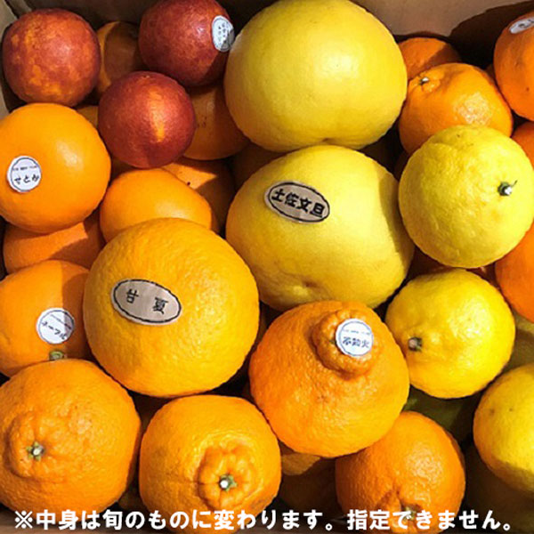 伊予柑 訳あり3