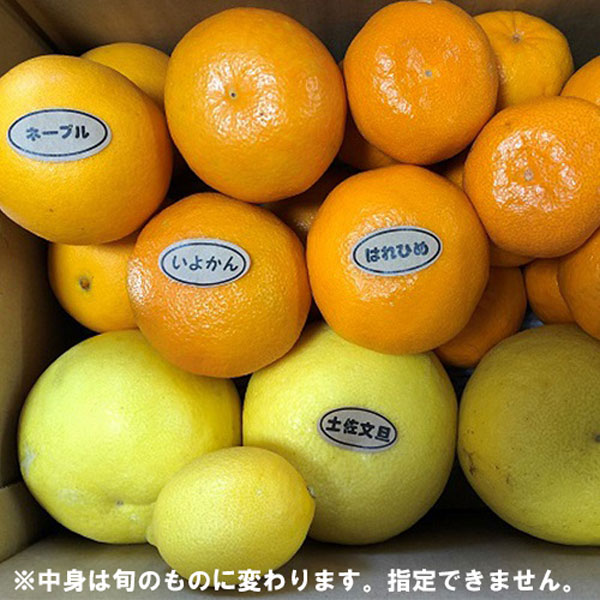 伊予柑 訳あり3