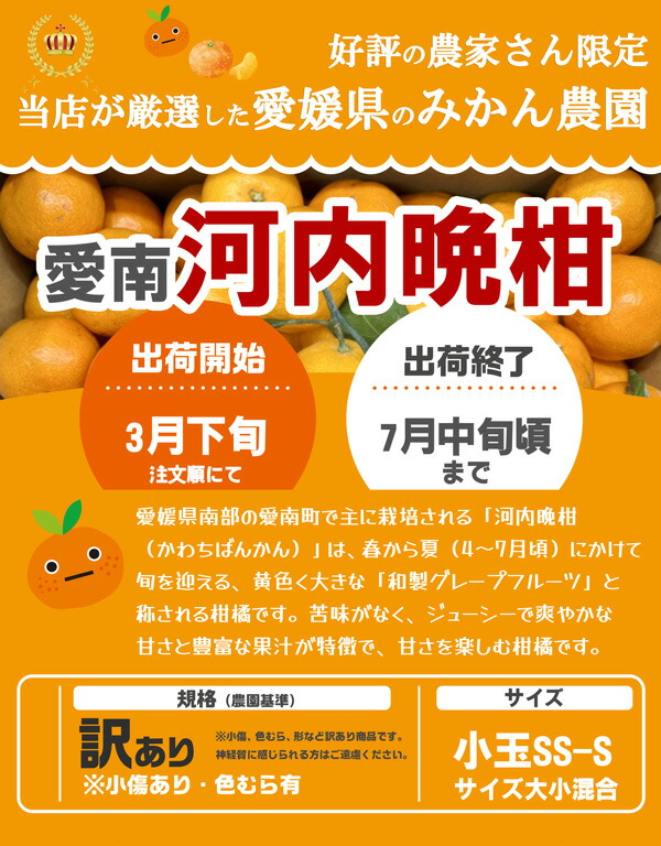 河内晩柑