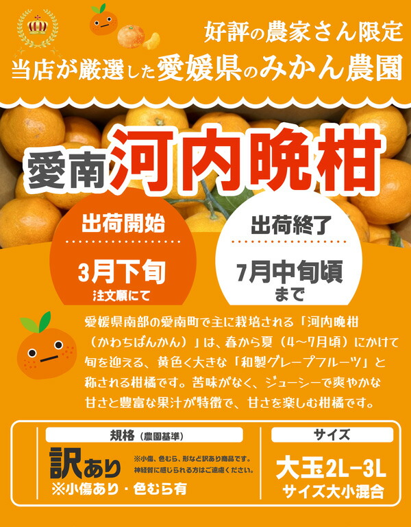 河内晩柑