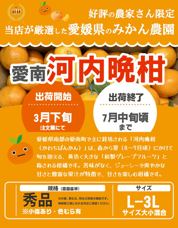 河内晩柑