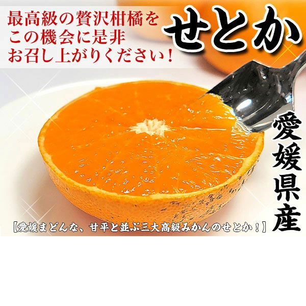 愛媛　訳あり　せとか3