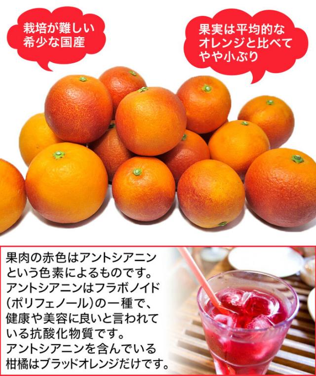 ブラッドオレンジ3