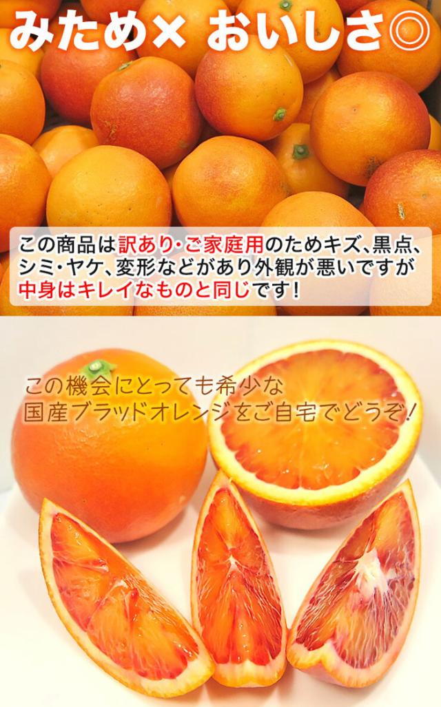 ブラッドオレンジ 訳あり