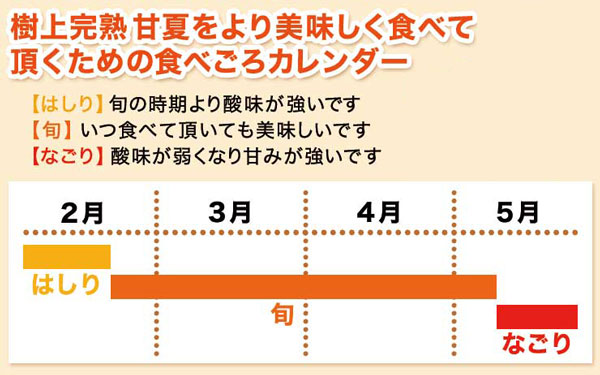 愛媛　訳あり　せとか2