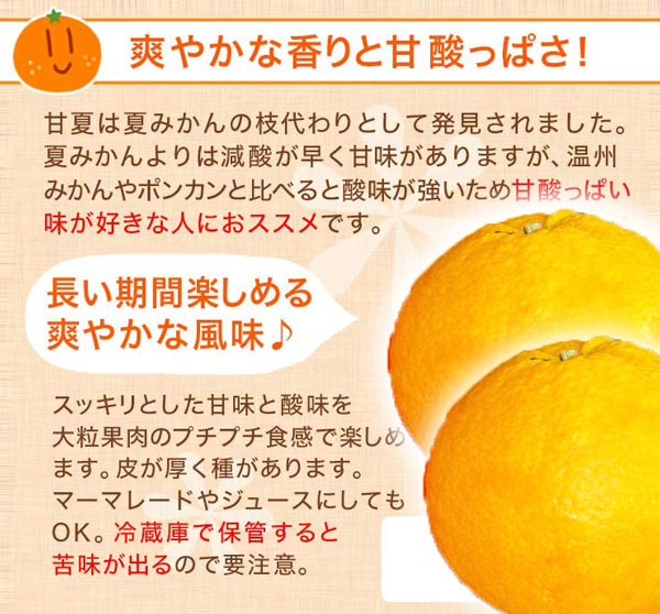 愛媛　訳あり　せとか1