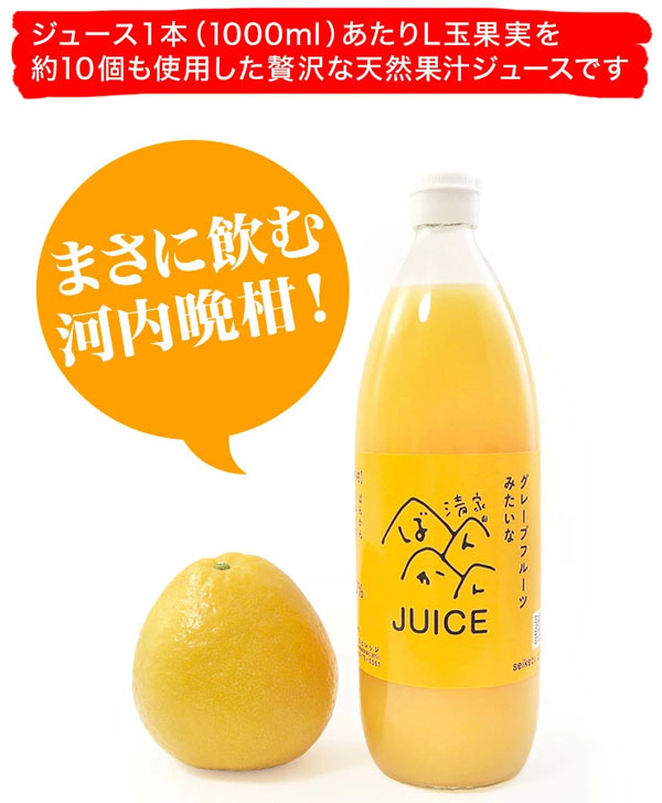 愛媛不知火1
