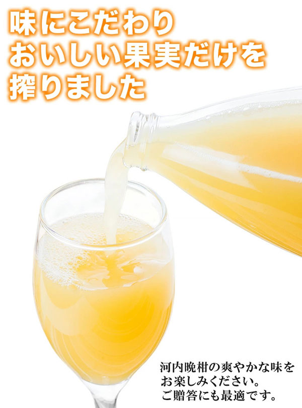 愛媛不知火1