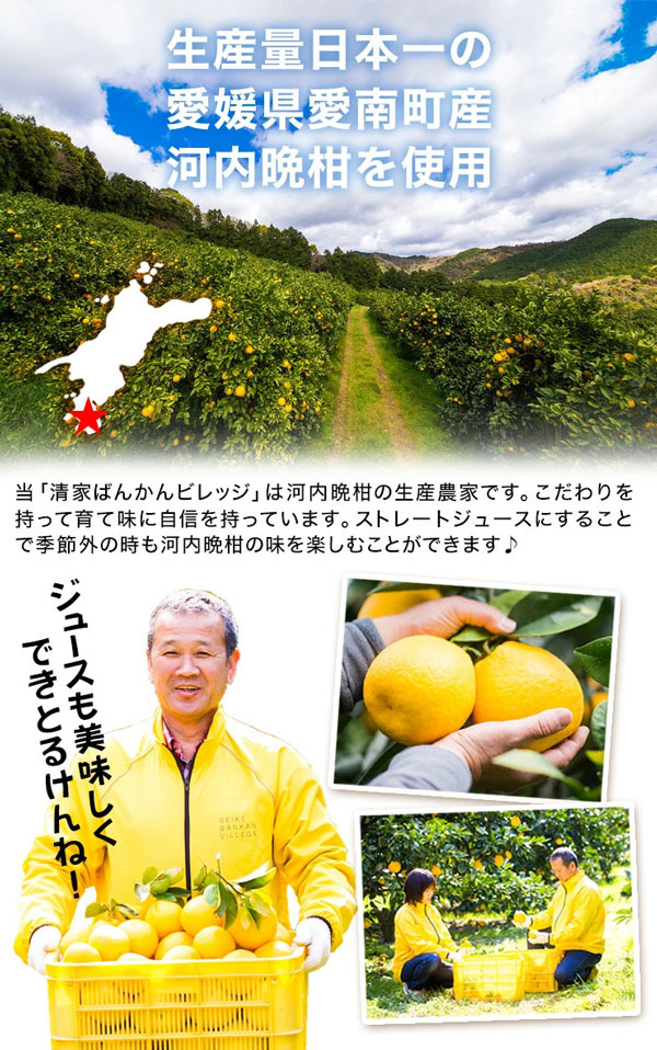 愛媛不知火1