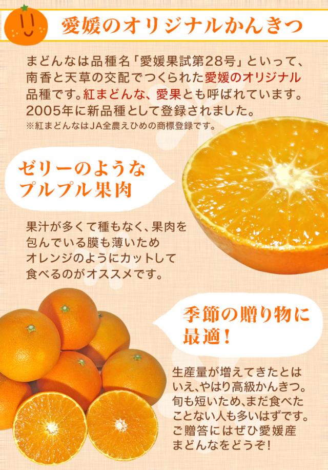愛媛みかん3