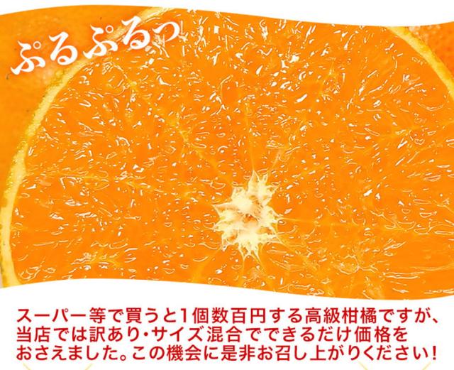 愛媛　訳あり　せとか1