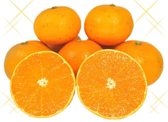 愛媛　訳あり　せとか2