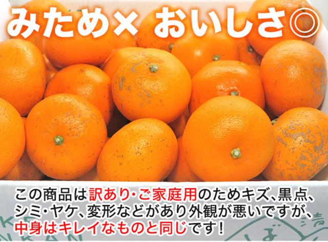 愛媛　訳あり　せとか3