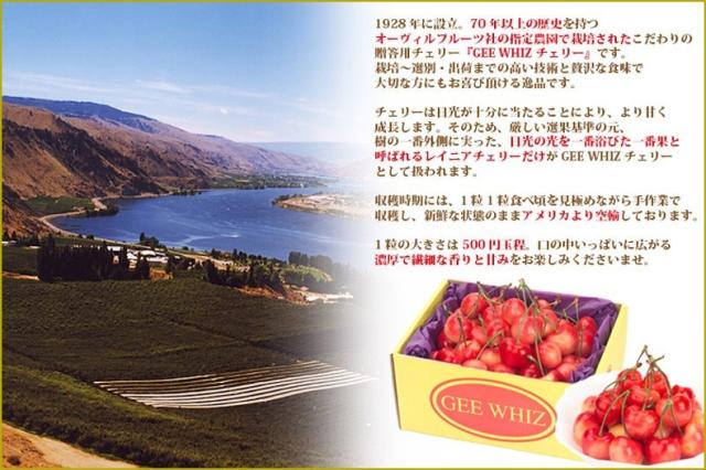オービル農園　レーニアチェリー