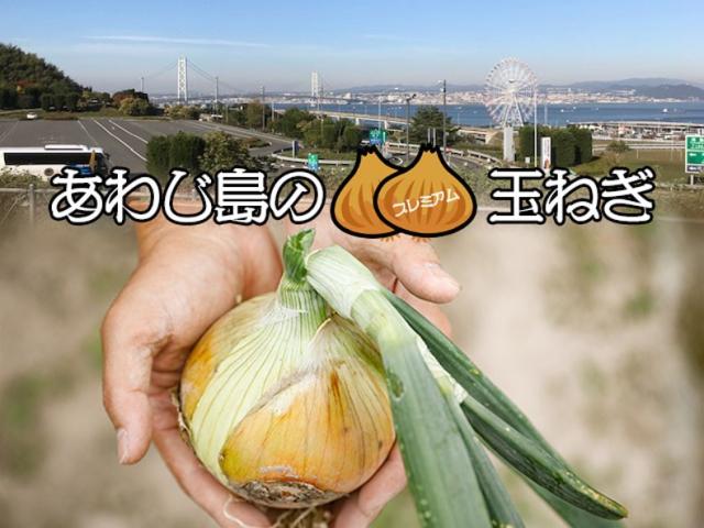 淡路島【玉ねぎ4】たまねぎ1箱あわじ島産タマネギ家庭用・ギフト・お中元でもOK