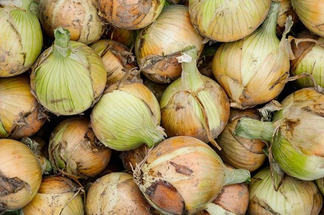 淡路島【玉ねぎ8】たまねぎ1箱あわじ島産タマネギ家庭用・ギフト・お中元でもOK