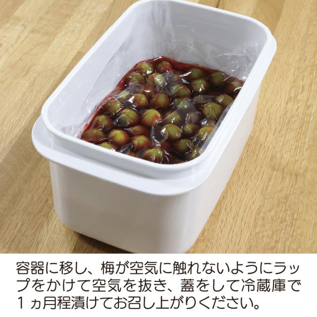 容器に移して表面をラップをかけ、1ヶ月程で完成