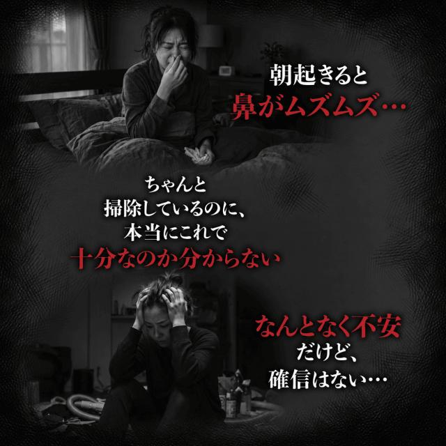 【ダニコロリシリーズ】【ダニ研究専門家監修】屋内塵性ダニ簡易検査キット ダニドコダ  家庭用ダニ検査キット ダニアレルゲン検査キット ダニのフン・死骸検査キット