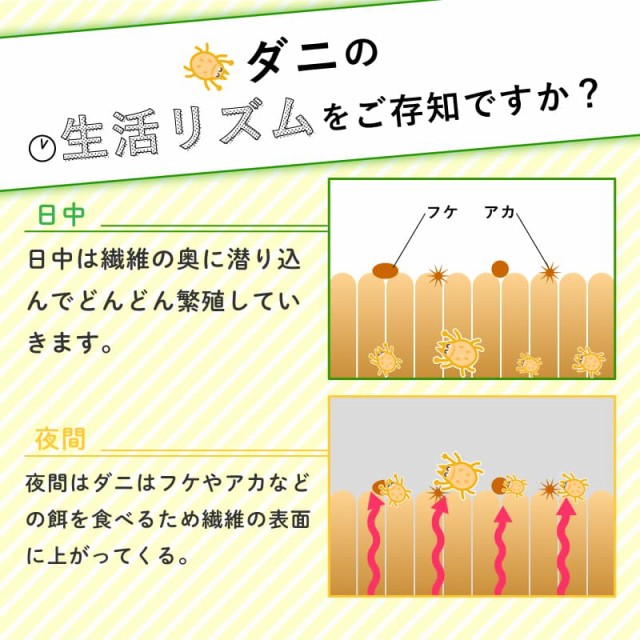 ダニコロリ ダニコロリ 3枚 ダニコロリシート ダニ捕りシート ダニ取りシート ダニ取りマット ダニ捕りマット ダニコロリ・ナチュラルミスト ダニよけスプレー ダニよけ ダニ除け ダニ避け ダニ対策スプレー 消臭スプレー 除菌スプレー