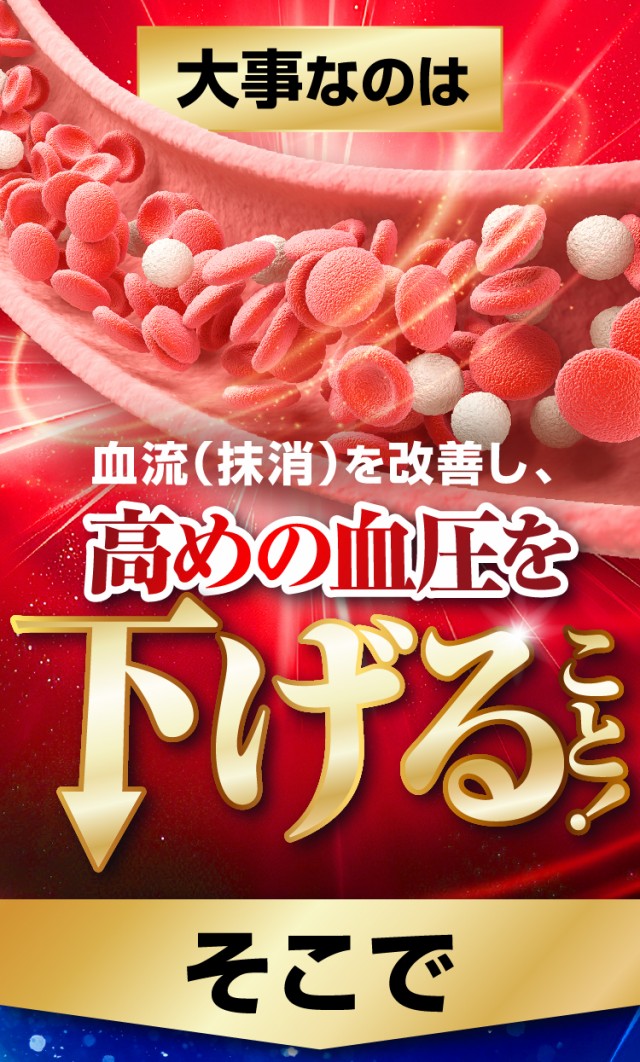 循善豆 納豆キナーゼ 納豆 納豆菌 ナットウキナーゼ